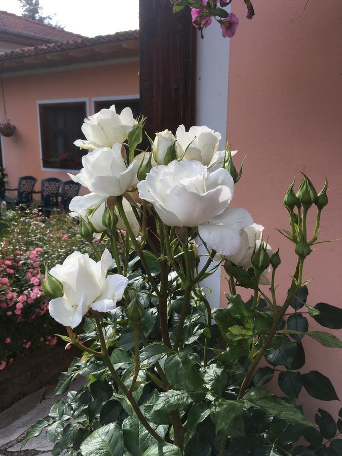 Bobi Guest House Koprivshtitsa Esterno foto
