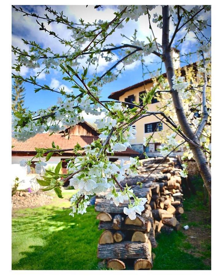 Bobi Guest House Koprivshtitsa Esterno foto
